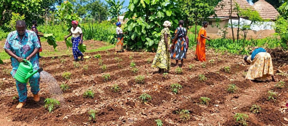 Sustainable Gardening in Adjumani: Supporting Local Farmers and Food Security in Northern Uganda