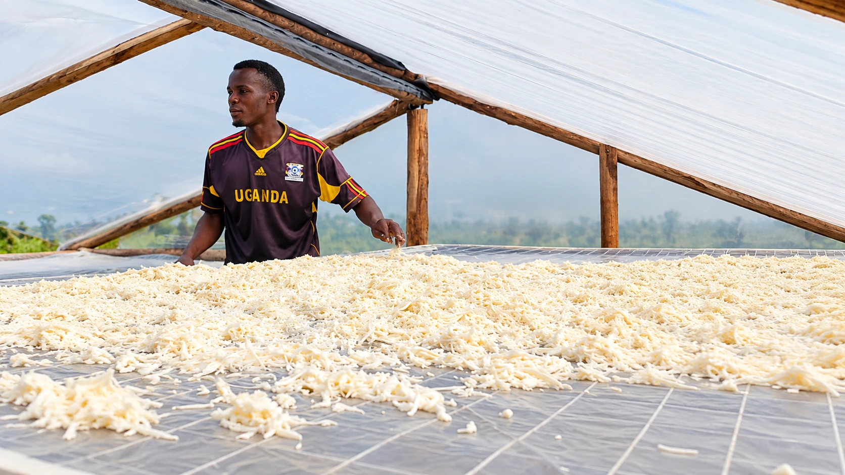 Cassava Value Addition in West Nile